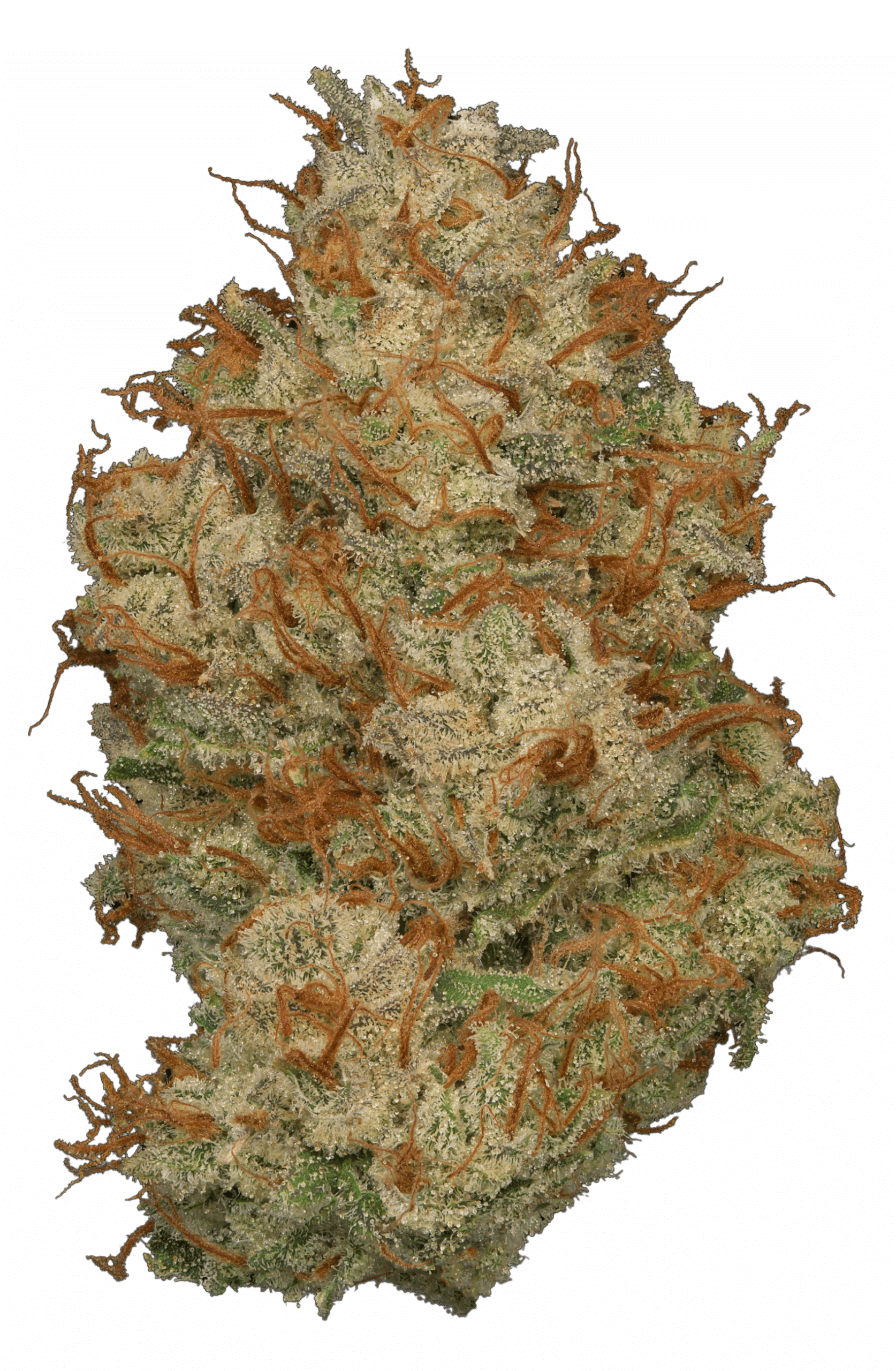 Raskal Lemons harvested flower, as labeled by the cited photo source