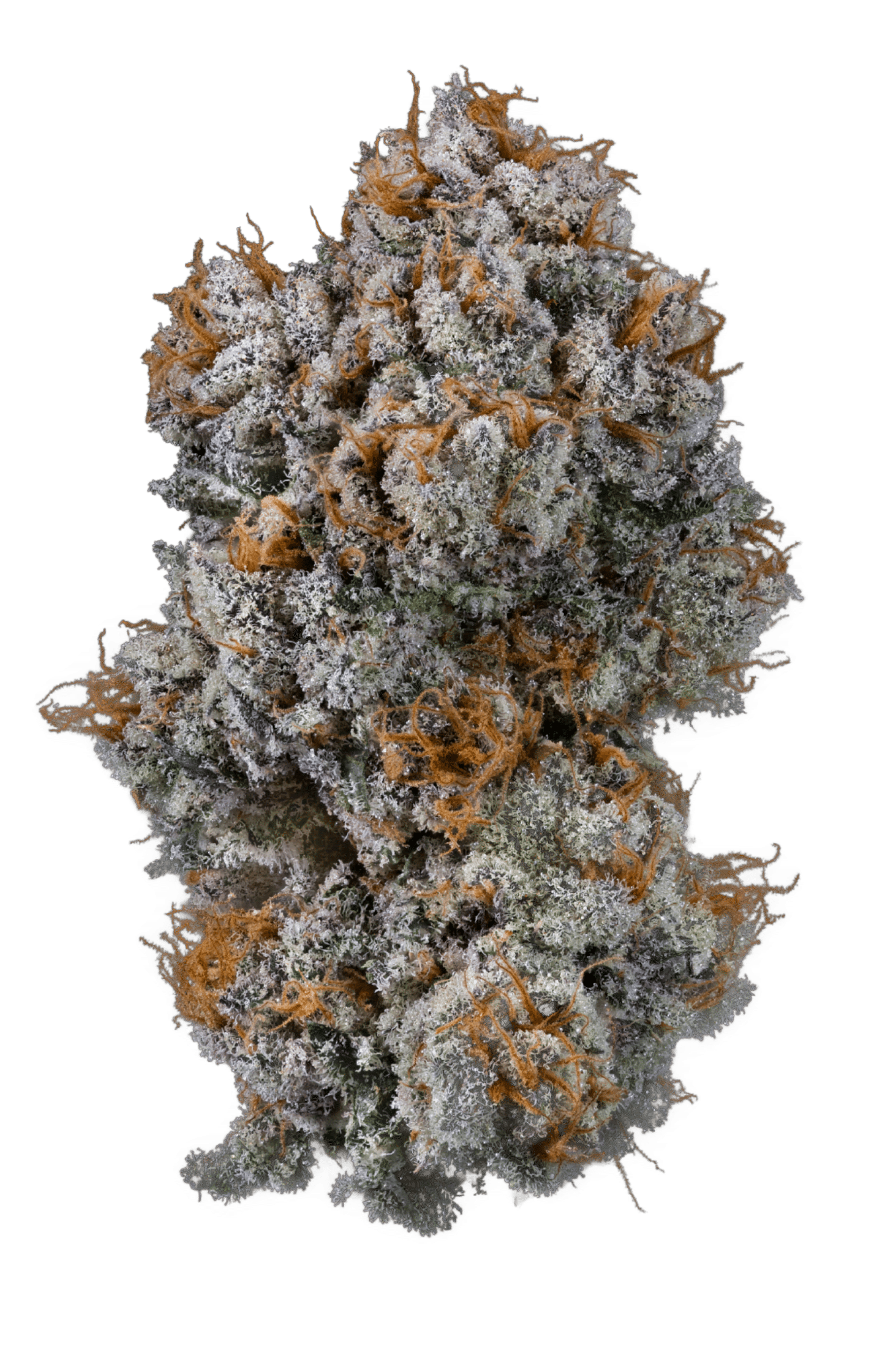 Guava Gas harvested flower, as labeled by the cited photo source